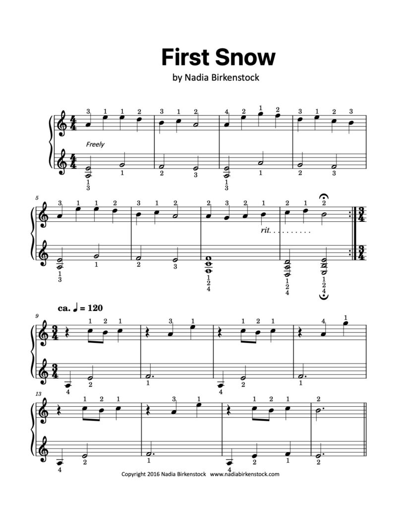 First Snow (Solo and 26 strings) – PDF – Nadia Birkenstock Shop
